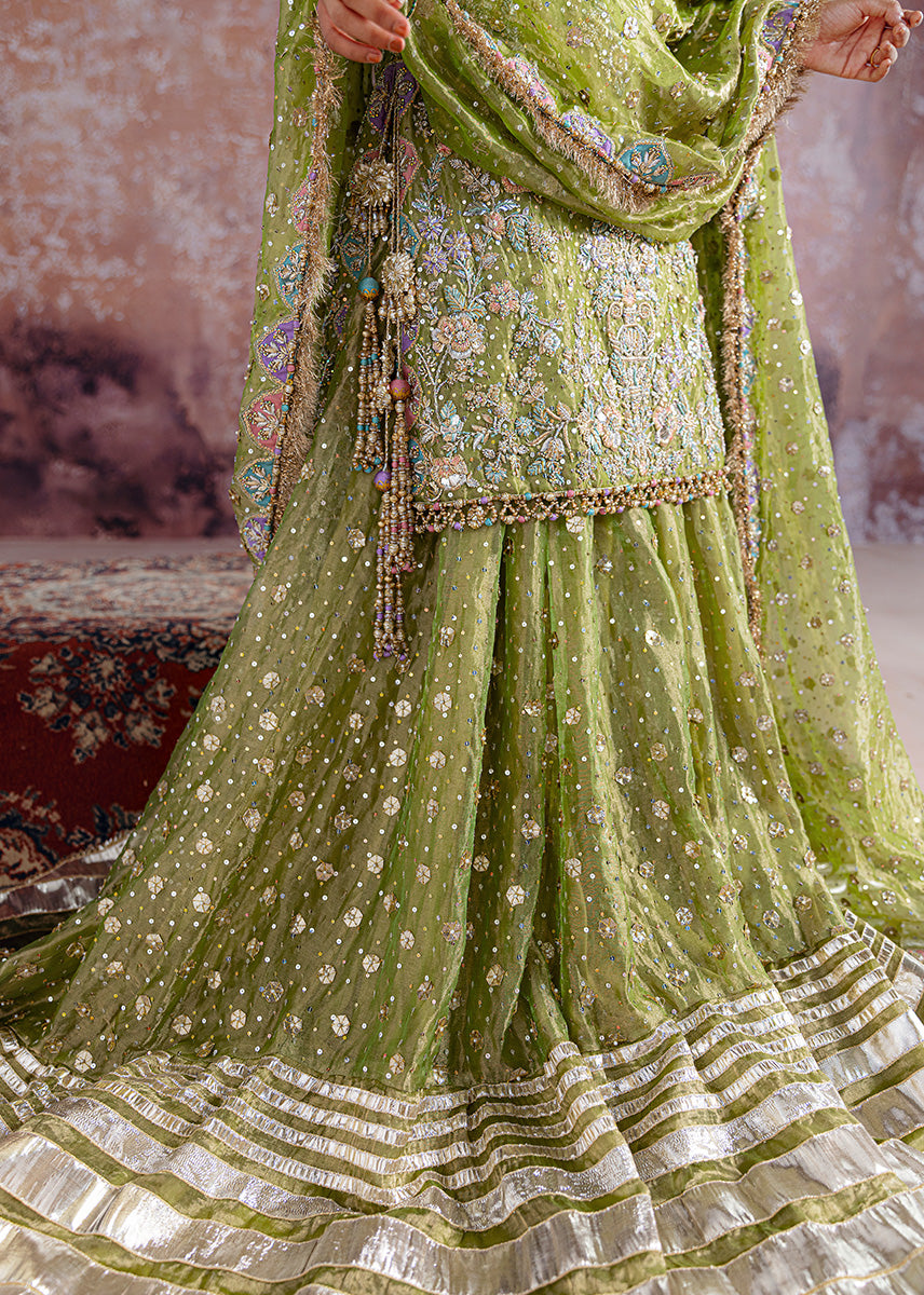 Sara Rohale Asghar - Shadan