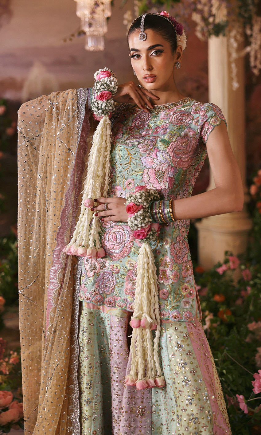 Nomi Ansari - Rosebud