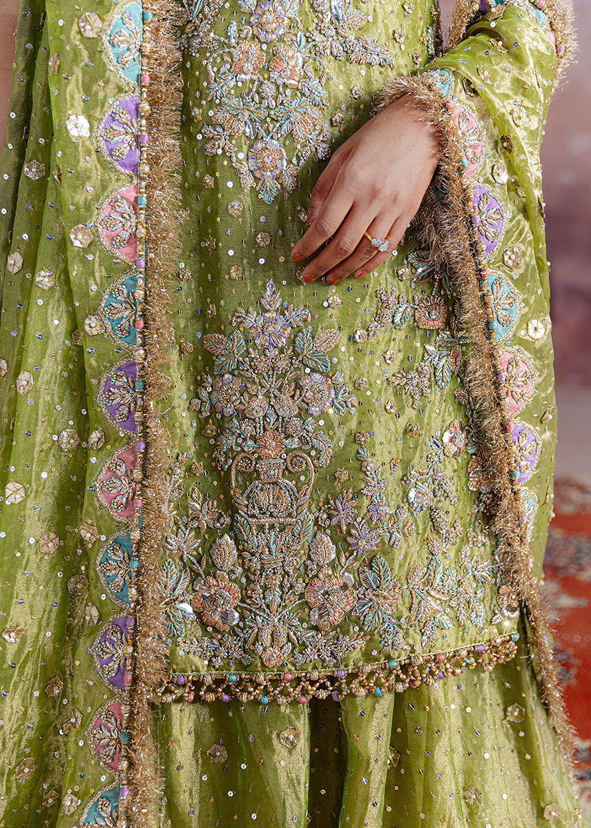 Sara Rohale Asghar - Shadan