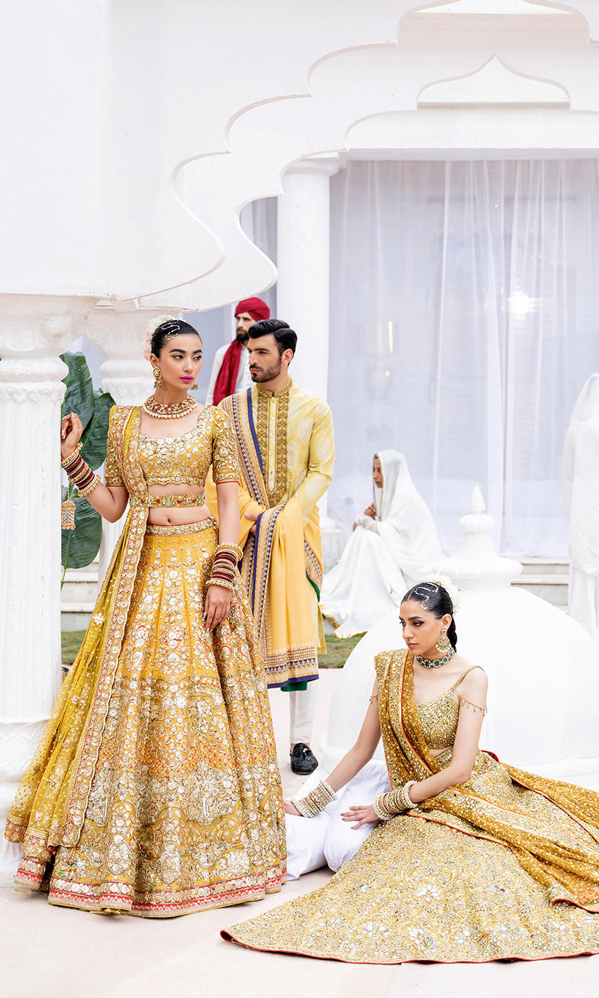 Nomi Ansari NAB-22-110 | Luxury Bareeze Net Mehndi Dress