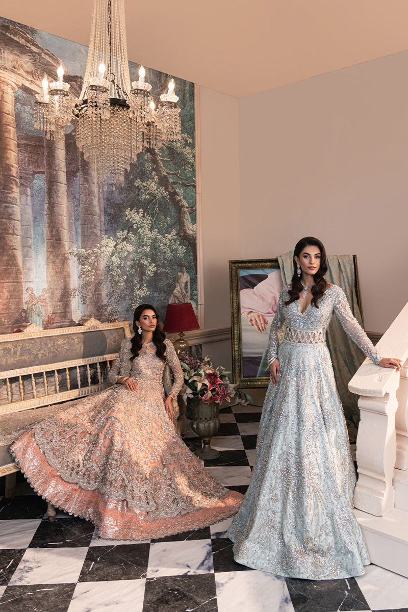 Khakaa Shimmering Ice organza dupatta with delicate decorative detailing and flowing drape at Zenni’s Atelier