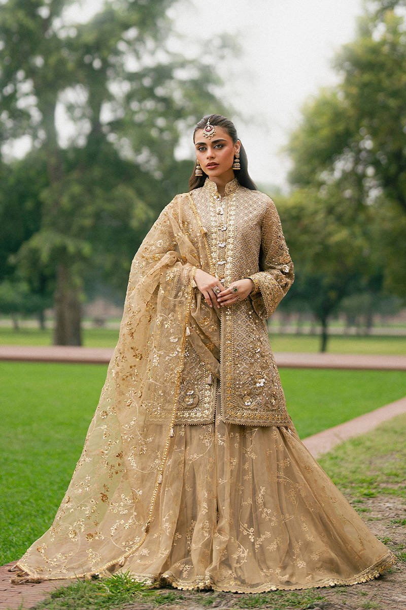 Mohsin Naveed Ranjha (MNR) - Roshni