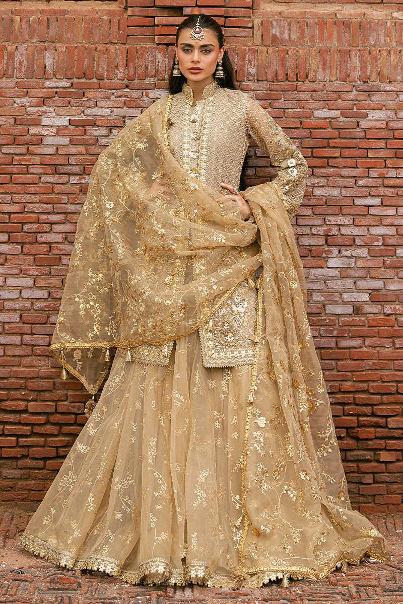 Mohsin Naveed Ranjha (MNR) - Roshni