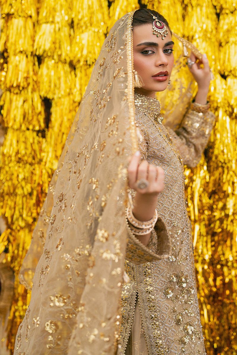 Mohsin Naveed Ranjha (MNR) - Roshni