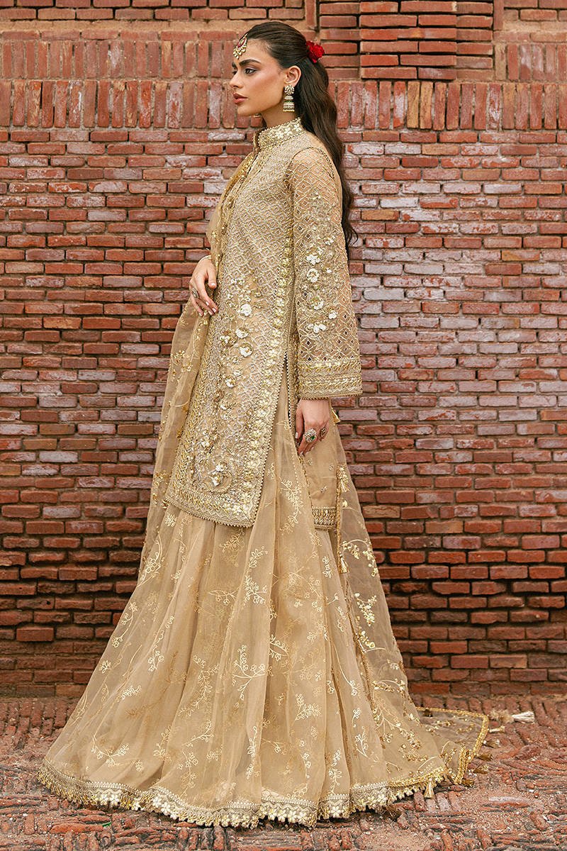 Mohsin Naveed Ranjha (MNR) - Roshni
