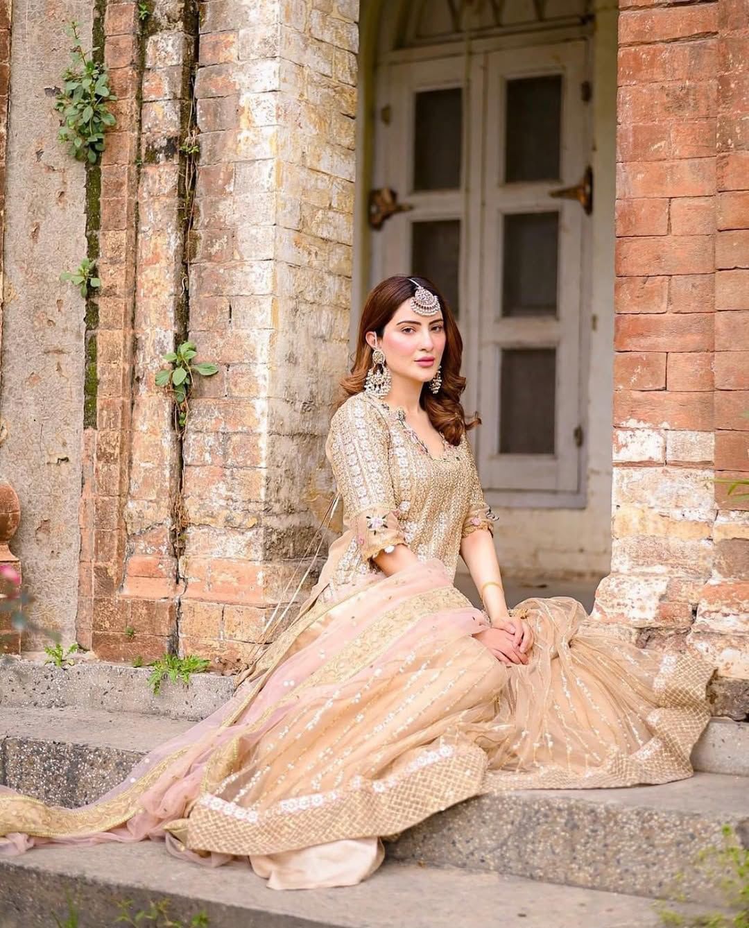 Tabya Nagma delicate blush pink net dupatta with decorative border detailing